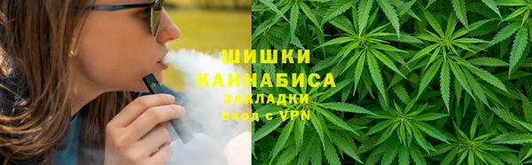 крисы Пересвет