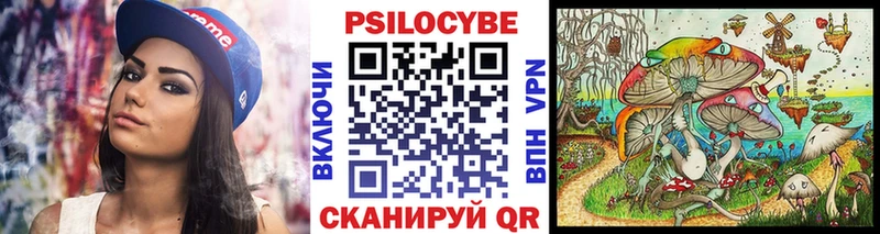 Псилоцибиновые грибы Psilocybe  Феодосия 
