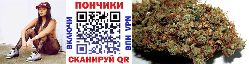 blacksprut вход  сколько стоит  Феодосия  Бошки марихуана тримм 
