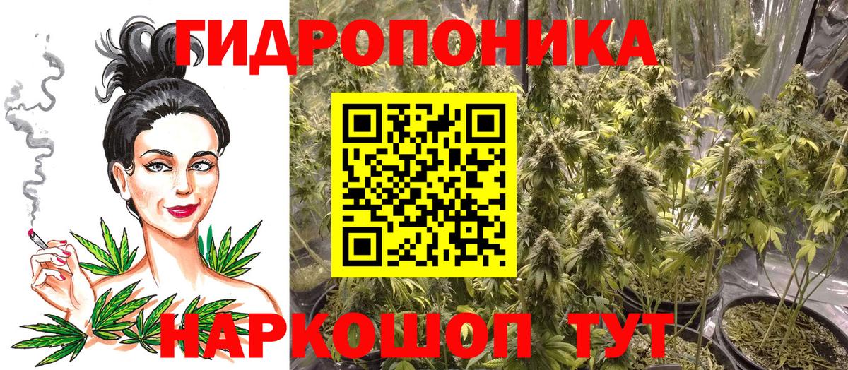 Бошки Шишки Amnesia Феодосия